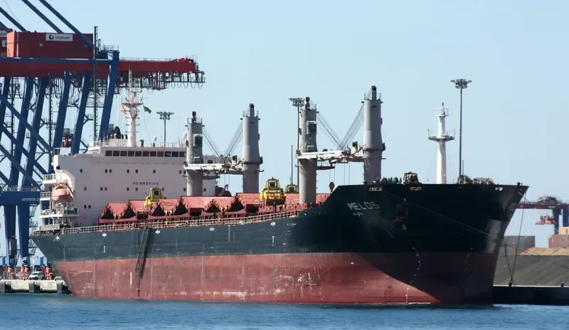 RICHMOND PEARL Bulk Carrier IMO 9347889 photo 4