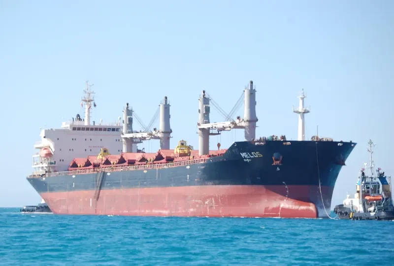 RICHMOND PEARL Bulk Carrier IMO 9347889 photo 5