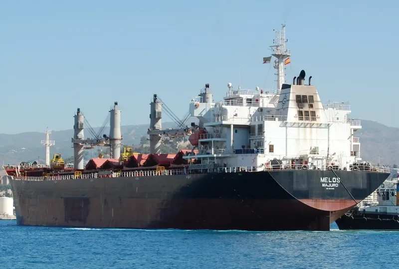 RICHMOND PEARL Bulk Carrier IMO 9347889 photo 6