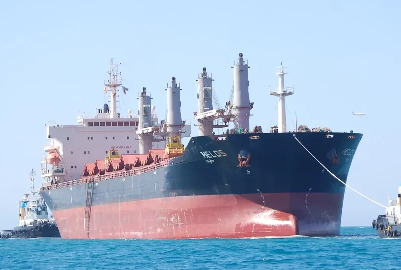 RICHMOND PEARL Bulk Carrier IMO 9347889 photo 8