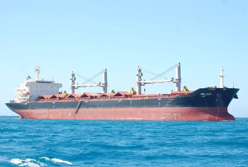 RICHMOND PEARL Bulk Carrier IMO 9347889 photo 9