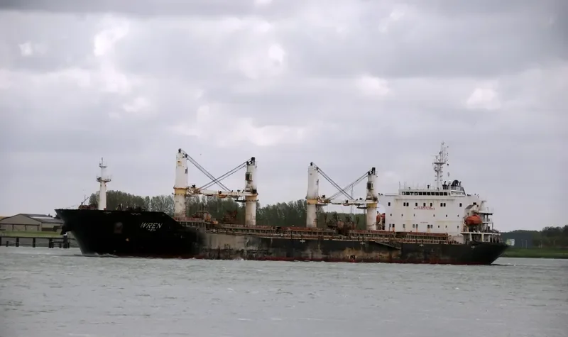 MANALAGI WANDA Bulk Carrier IMO 9347906 photo 2