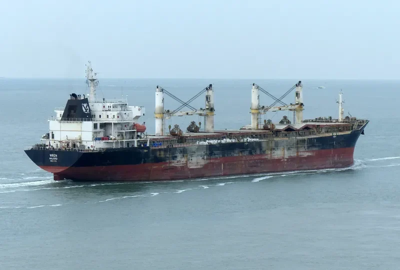 MANALAGI WANDA Bulk Carrier IMO 9347906 photo 3