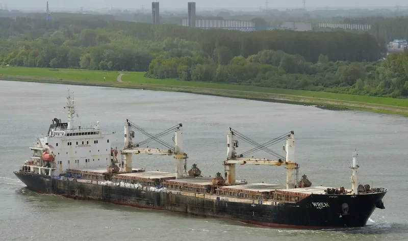 MANALAGI WANDA Bulk Carrier IMO 9347906 photo 6