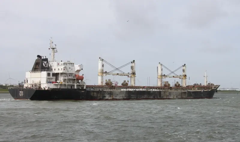 MANALAGI WANDA Bulk Carrier IMO 9347906 photo 7