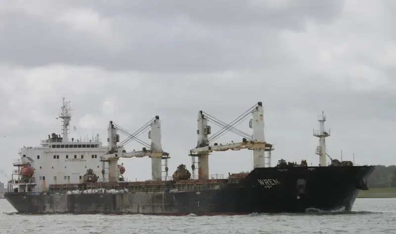 MANALAGI WANDA Bulk Carrier IMO 9347906 photo 8