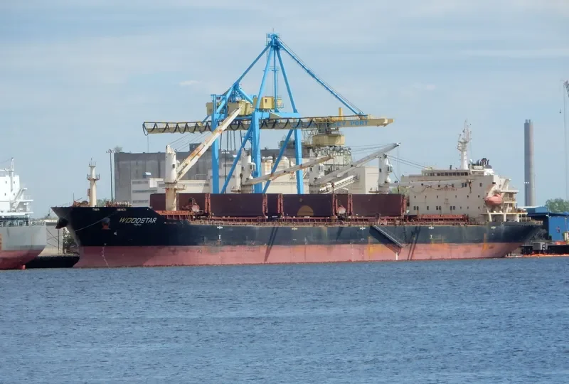 SAFESEA NEHA II Bulk Carrier IMO 9347918 photo 3