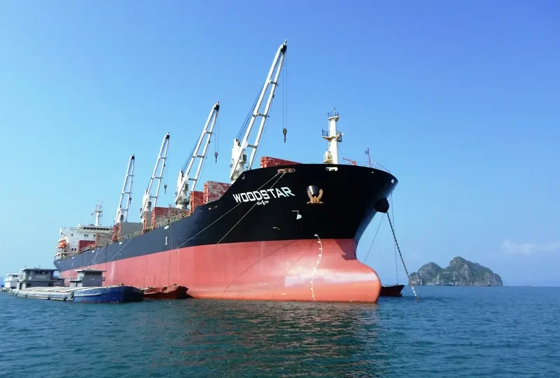 SAFESEA NEHA II Bulk Carrier IMO 9347918 photo 4