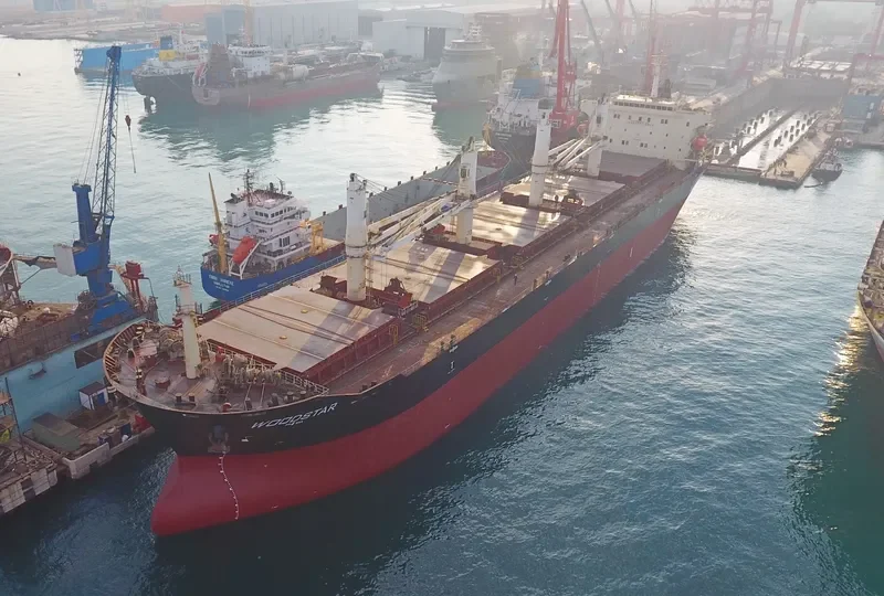 SAFESEA NEHA II Bulk Carrier IMO 9347918 photo 5