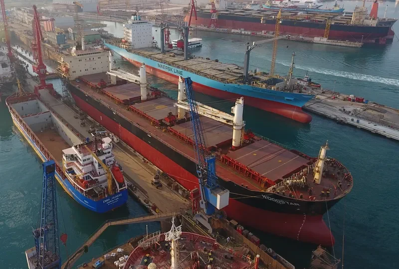 SAFESEA NEHA II Bulk Carrier IMO 9347918 photo 6