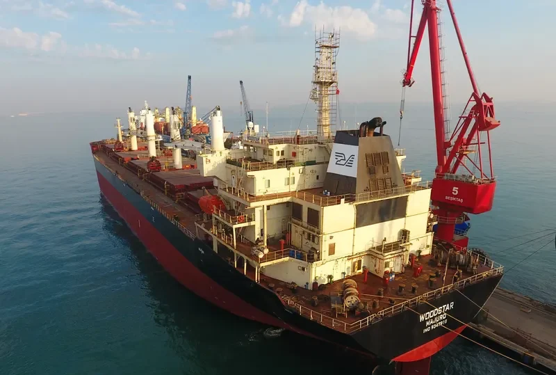 SAFESEA NEHA II Bulk Carrier IMO 9347918 photo 8