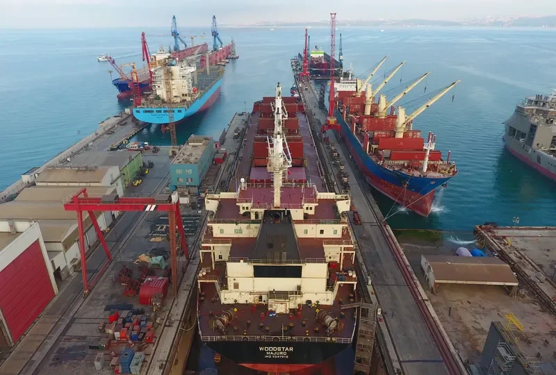 SAFESEA NEHA II Bulk Carrier IMO 9347918 photo 9