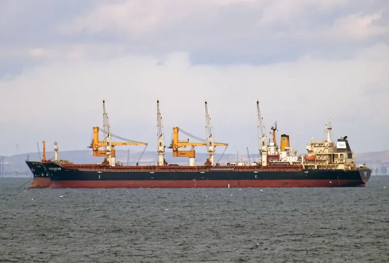 SAFESEA NEHA II Bulk Carrier IMO 9347918 photo 10