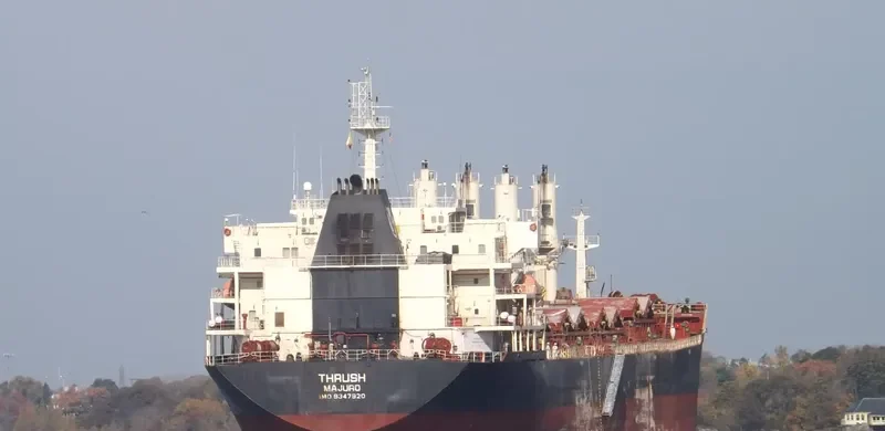 MDM BALURAN Bulk Carrier IMO 9347920 photo 2