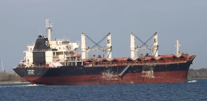 MDM BALURAN Bulk Carrier IMO 9347920 photo 3