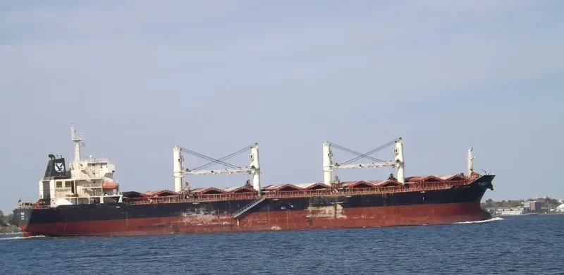MDM BALURAN Bulk Carrier IMO 9347920 photo 4