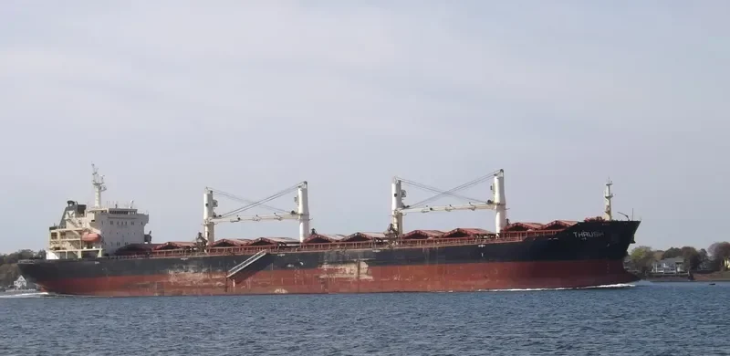 MDM BALURAN Bulk Carrier IMO 9347920 photo 5