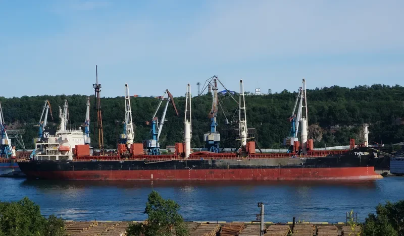 MDM BALURAN Bulk Carrier IMO 9347920 photo 6
