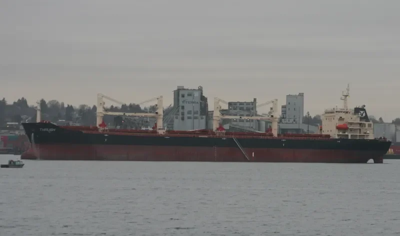 MDM BALURAN Bulk Carrier IMO 9347920 photo 7