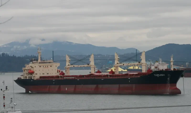 MDM BALURAN Bulk Carrier IMO 9347920 photo 8