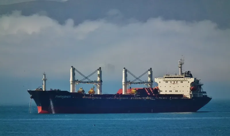 ECOATLANTIC Bulk Carrier IMO 9347932 photo 6
