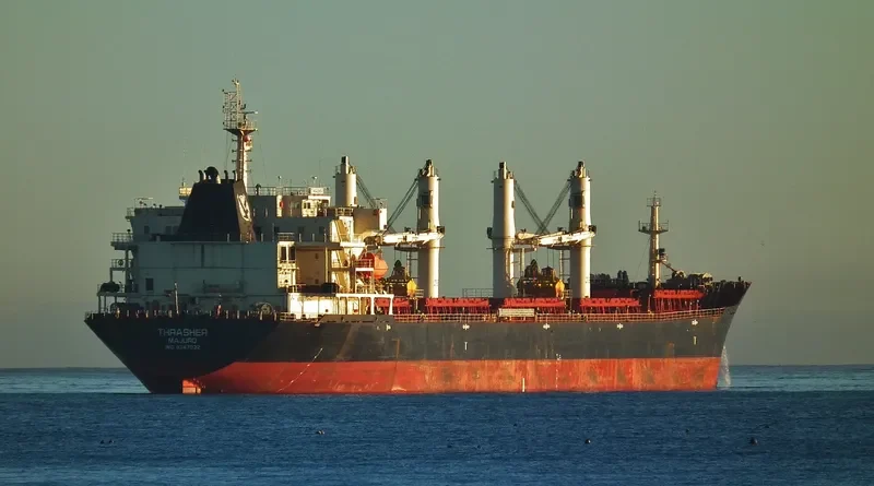 ECOATLANTIC Bulk Carrier IMO 9347932 photo 7
