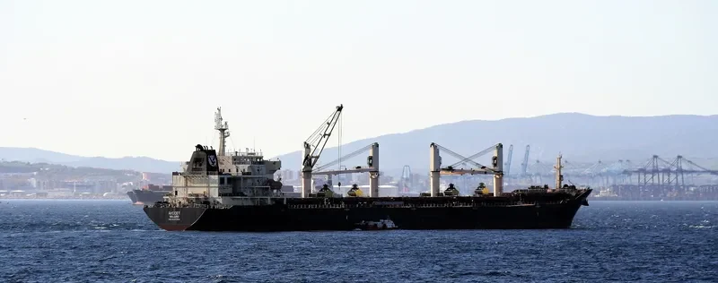 MDM BATUR Bulk Carrier IMO 9347944