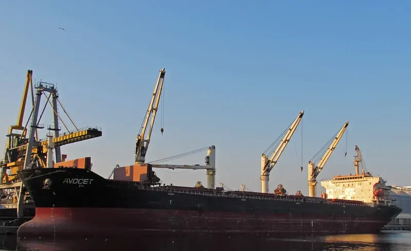MDM BATUR Bulk Carrier IMO 9347944 photo 2