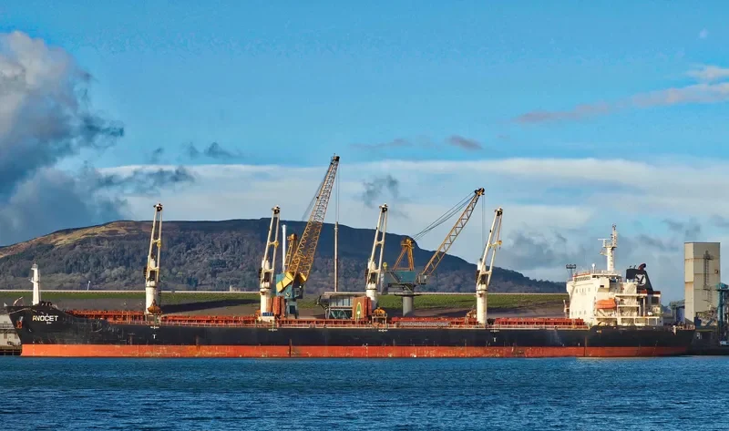 MDM BATUR Bulk Carrier IMO 9347944 photo 3