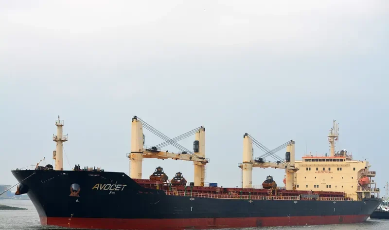 MDM BATUR Bulk Carrier IMO 9347944 photo 4
