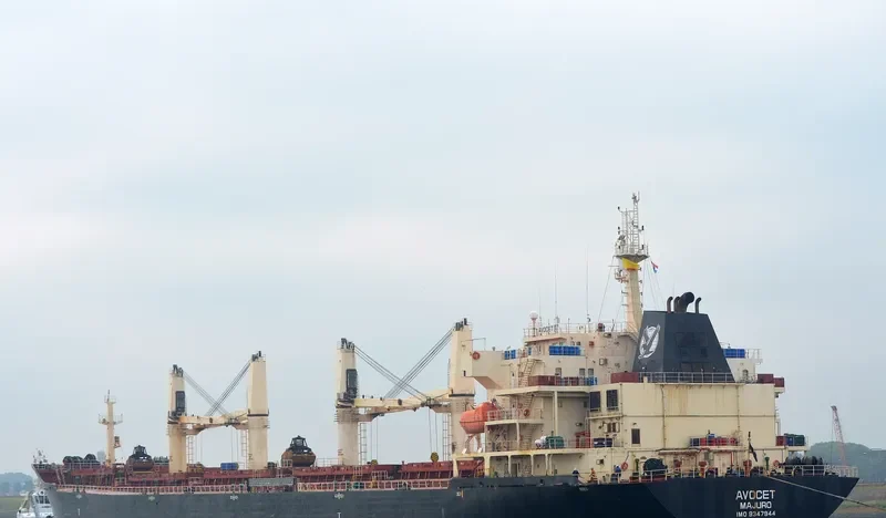 MDM BATUR Bulk Carrier IMO 9347944 photo 5
