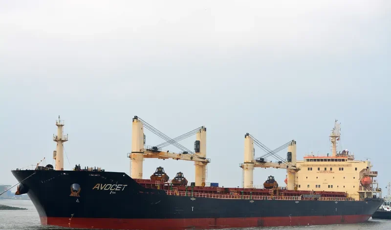 MDM BATUR Bulk Carrier IMO 9347944 photo 6