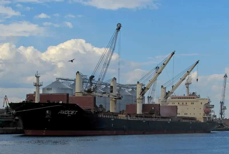 MDM BATUR Bulk Carrier IMO 9347944 photo 7
