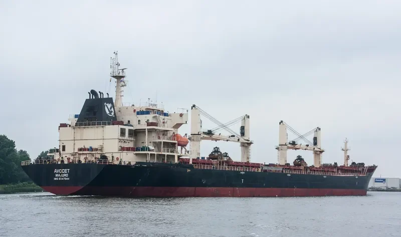 MDM BATUR Bulk Carrier IMO 9347944 photo 8