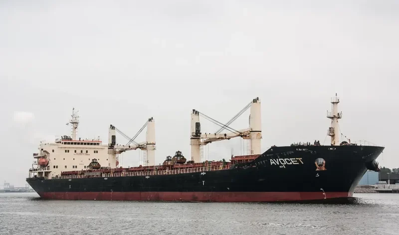 MDM BATUR Bulk Carrier IMO 9347944 photo 9