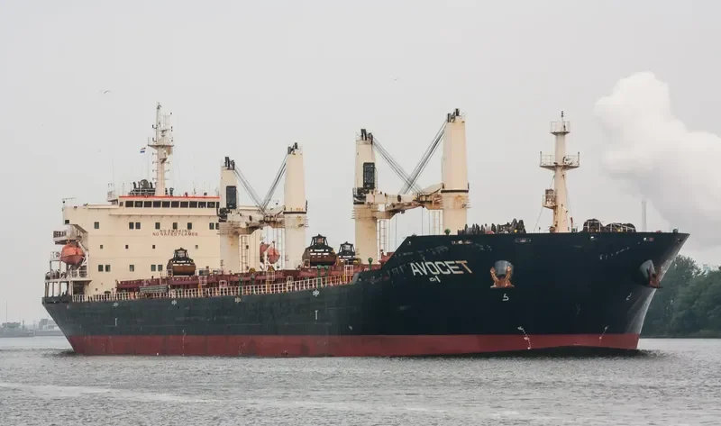MDM BATUR Bulk Carrier IMO 9347944 photo 10