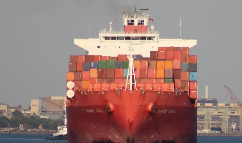 MONTE AZUL Container Ship IMO 9348053 photo 5