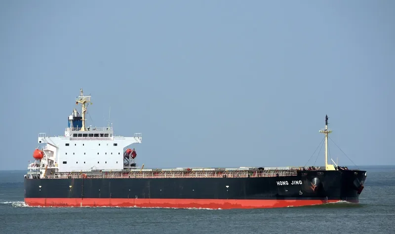 RIO BLANCO Container Ship IMO 9348089 photo 3