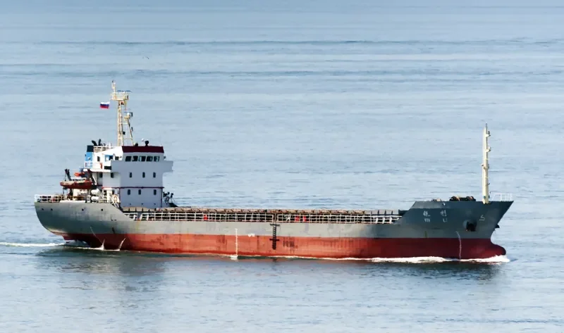 YIN LI Bulk Carrier IMO 9348144 photo 2