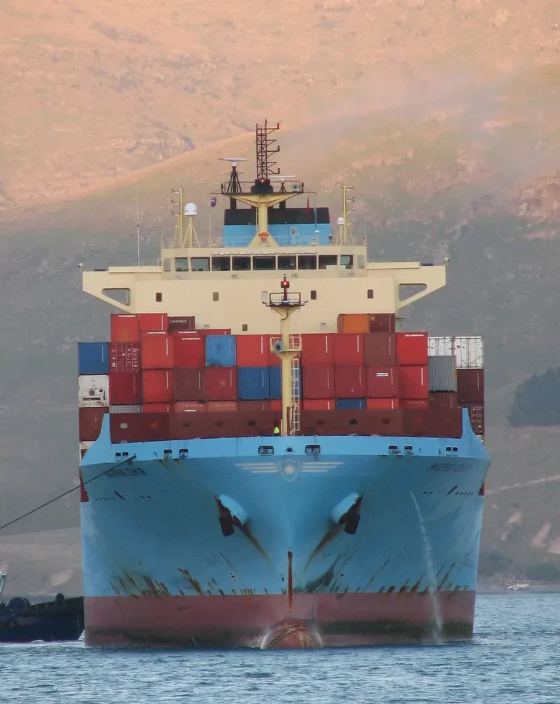MAERSK IZMIR Container Ship IMO 9348168 photo 4