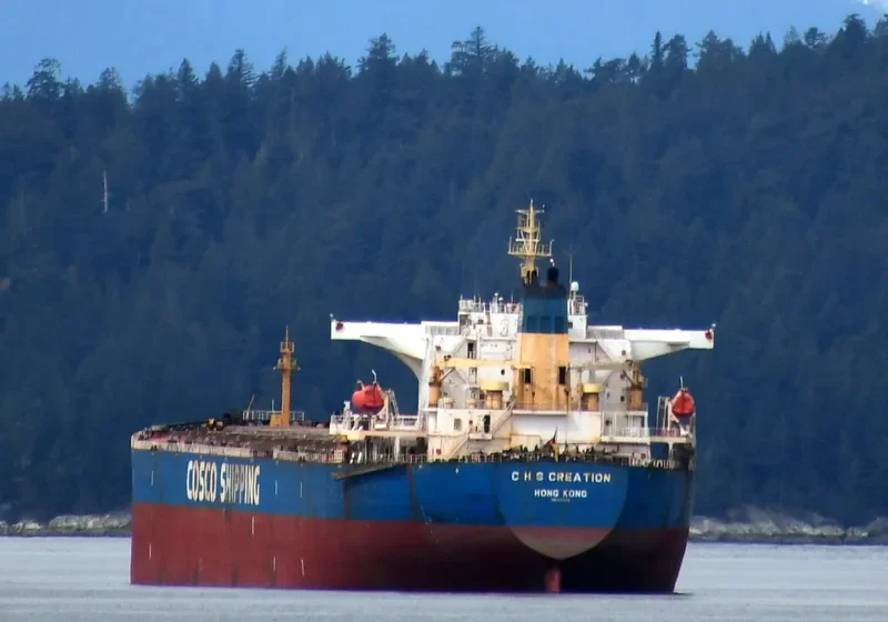 C H S CREATION Bulk Carrier IMO 9348273 photo 5