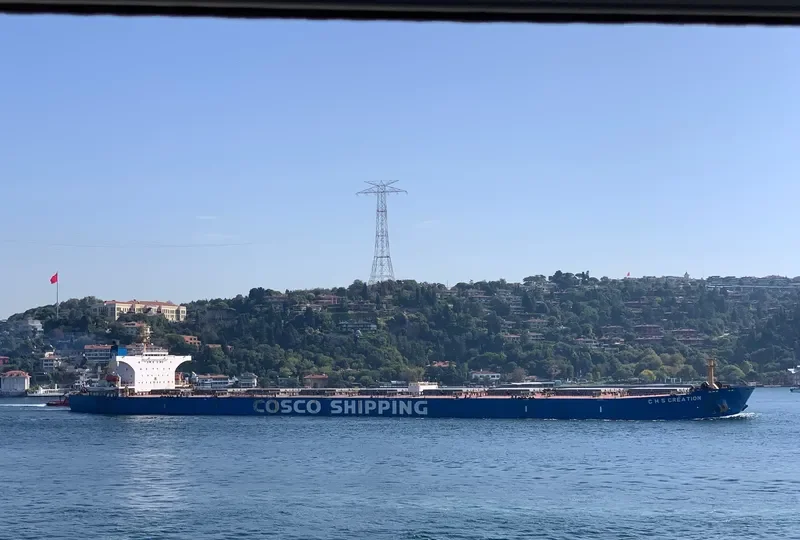 C H S CREATION Bulk Carrier IMO 9348273 photo 10