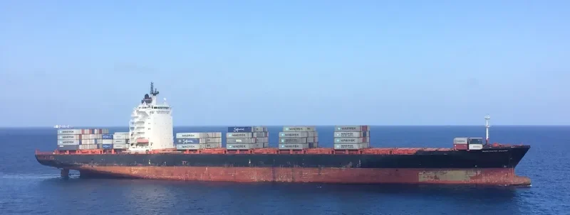 NORTHERN GUARD Container Ship IMO 9348455 photo 2