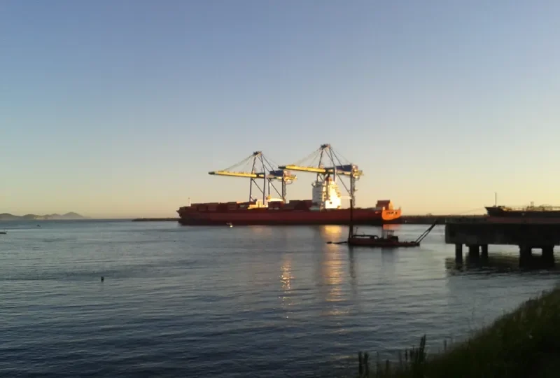 NORTHERN GUILD Container Ship IMO 9348467 photo 3