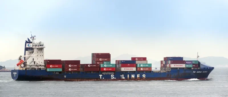 TS HONGKONG Container Ship IMO 9348493 photo 4
