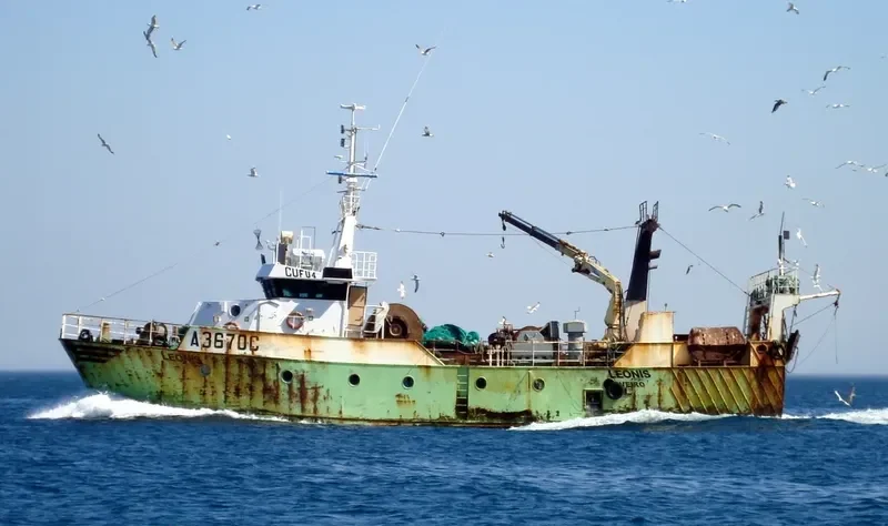 LEONIS General Cargo IMO 9348601 photo 3