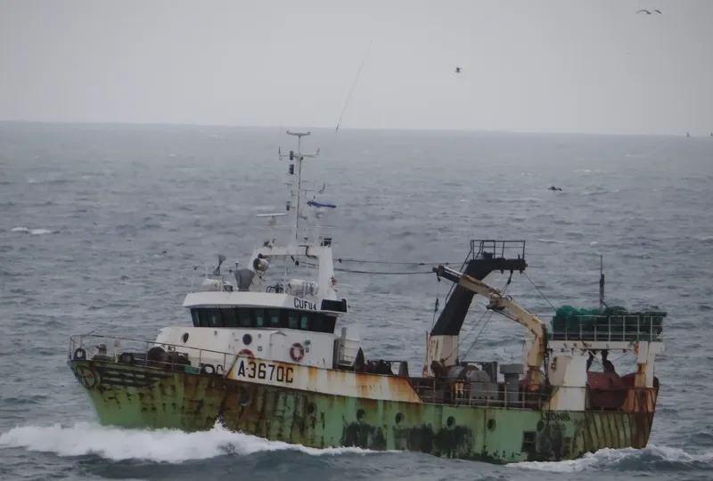 LEONIS General Cargo IMO 9348601 photo 5