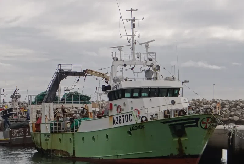 LEONIS General Cargo IMO 9348601 photo 6