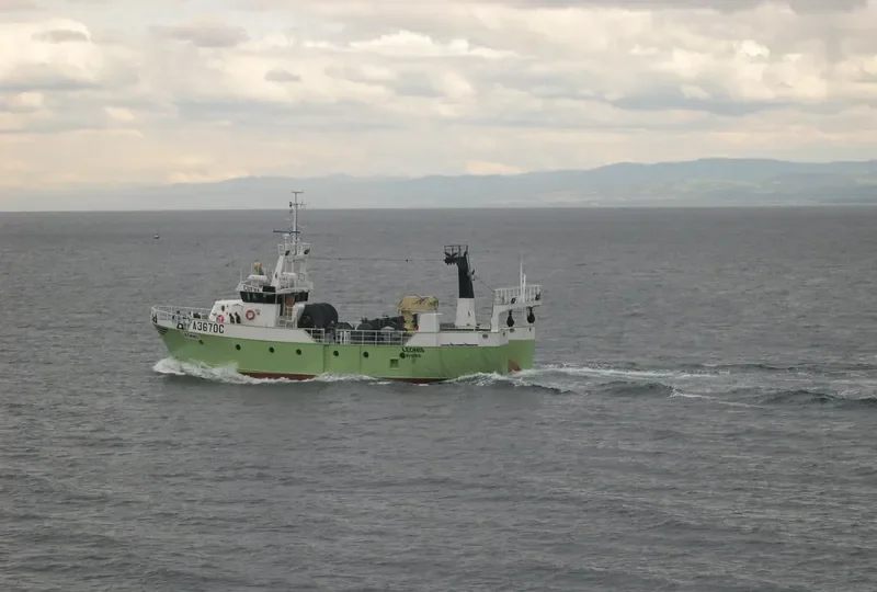 LEONIS General Cargo IMO 9348601 photo 8