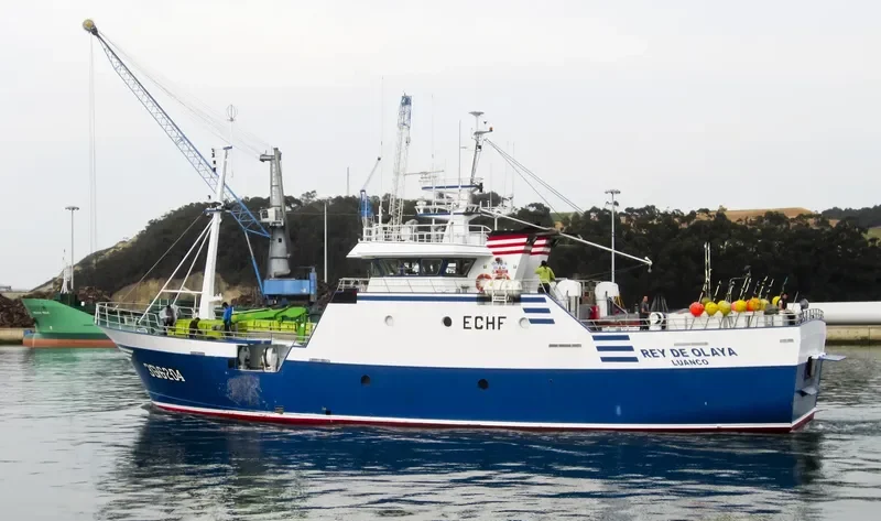 REY DE OLAYA General Cargo IMO 9348613